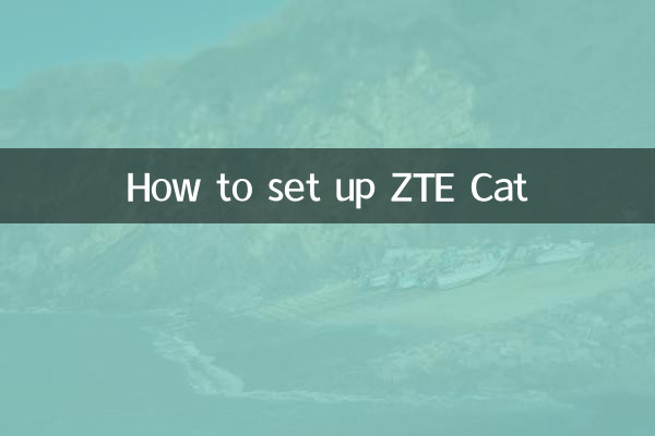 ZTE Cat 설정 방법