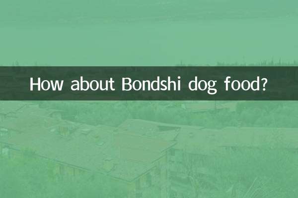 Bondshi 개밥은 어떻습니까?