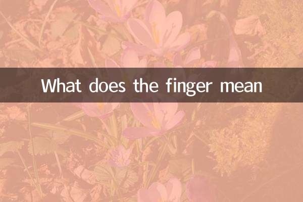 Was bedeutet der Finger?