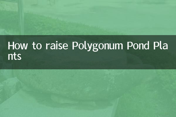 Wie man Polygonum -Teichpflanzen anzieht