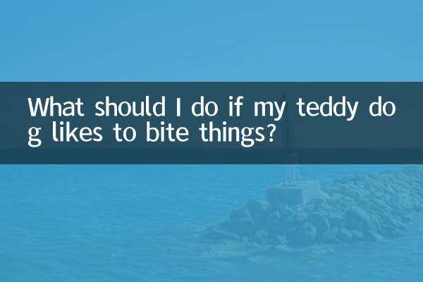 What should I do if my teddy dog ​​likes to bite things?
