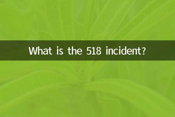 518 ঘটনা কি?