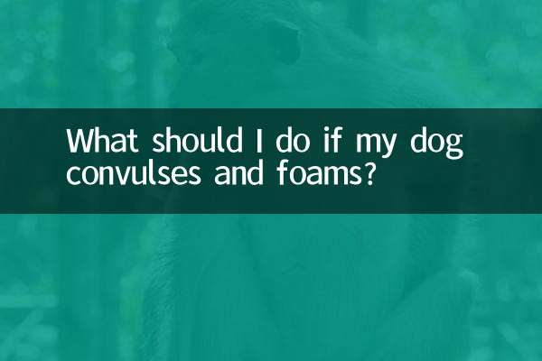 What should I do if my dog ​​convulses and foams?