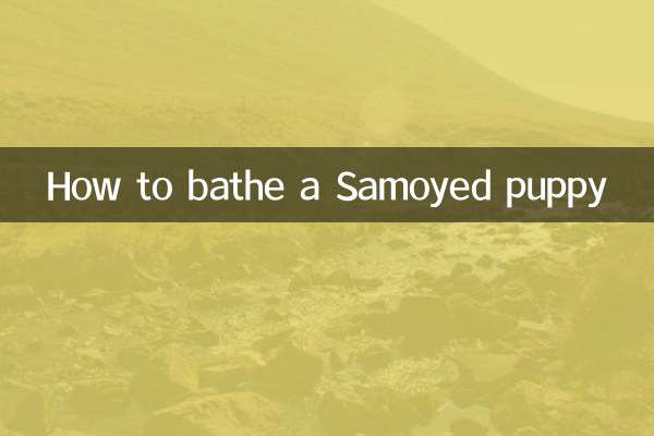 কিভাবে একটি Samoyed কুকুরছানা স্নান