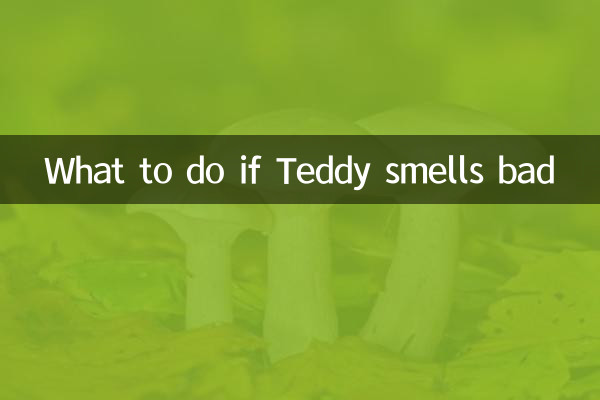 ماذا تفعل إذا كانت رائحة تيدي كريهة
