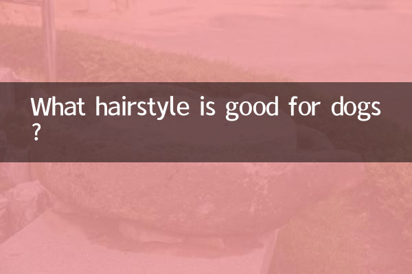 कुत्तों के लिए कौन सा हेयर स्टाइल अच्छा है?