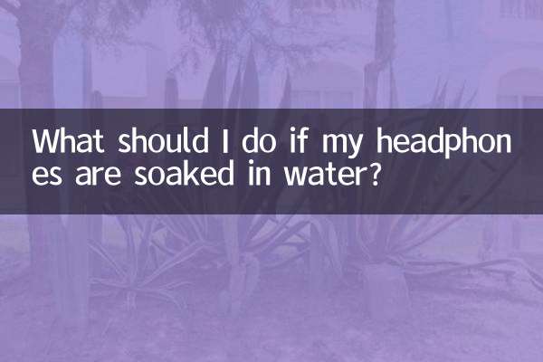 耳機被水泡了怎麼辦