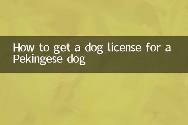 北京狗怎麼辦狗証