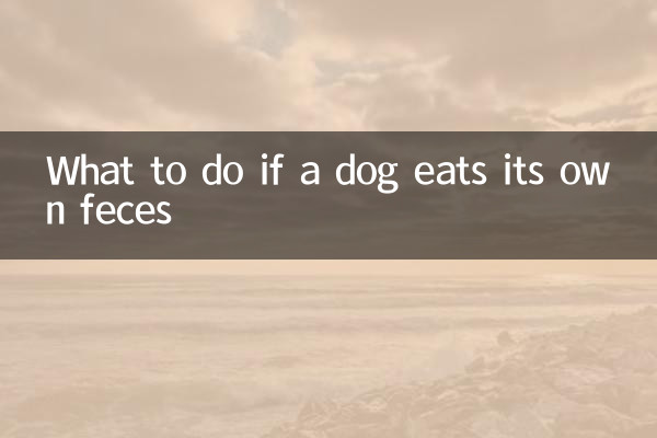 犬が自分の糞便を食べた場合の対処法