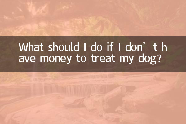 개를 치료할 돈이 없다면 어떻게 해야 하나요?