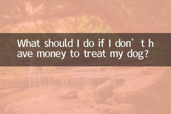 개를 치료할 돈이 없다면 어떻게 해야 하나요?