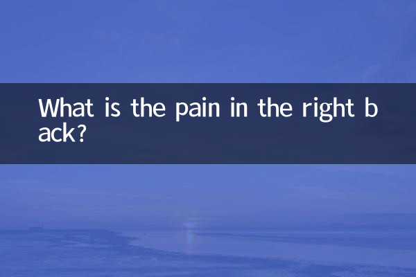 Qual è il dolore alla schiena destra?