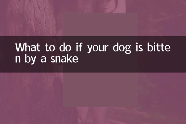 اگر آپ کے کتے کو سانپ نے کاٹا ہے تو کیا کریں