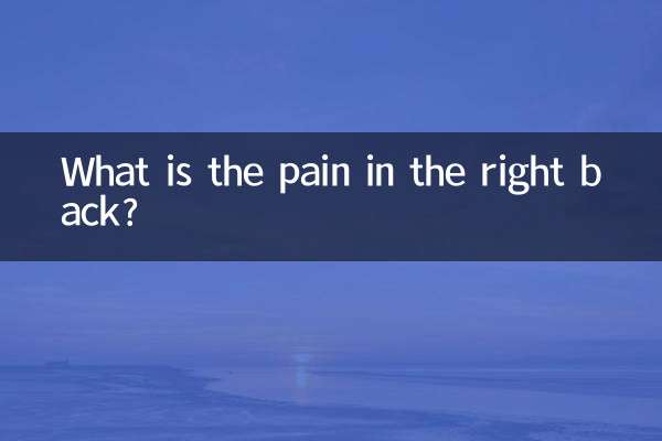 Qual è il dolore alla schiena destra?