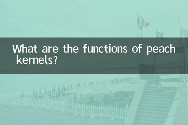 وظایف هسته هلو چیست؟