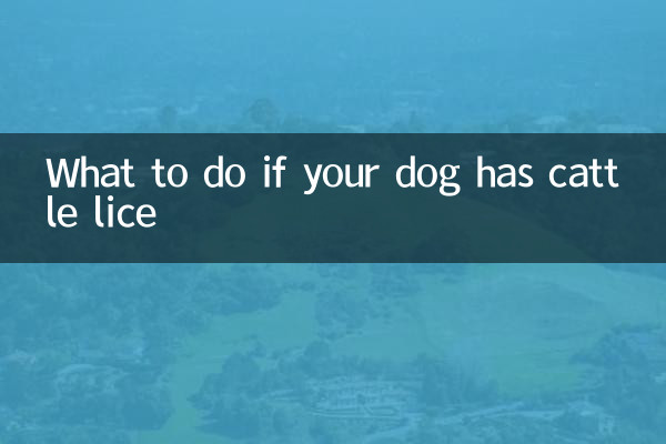 개에게 소이가 있는 경우 어떻게 해야 할까요?