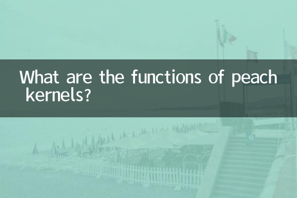 وظایف هسته هلو چیست؟