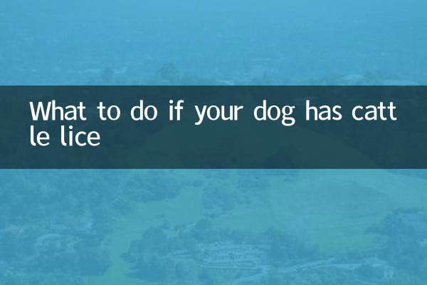 개에게 소이가 있는 경우 어떻게 해야 할까요?