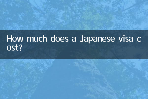 How much does a Japanese visa cost?