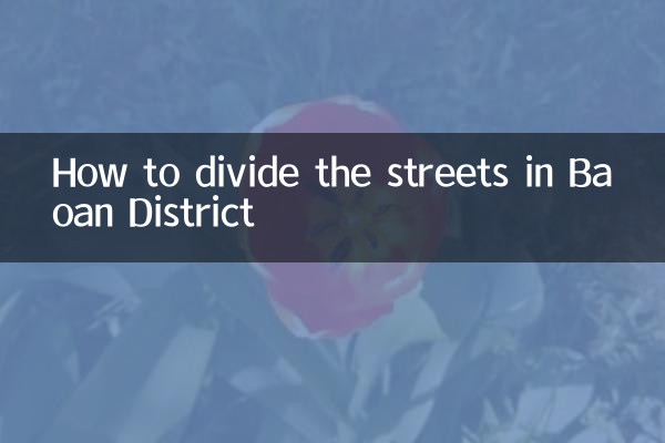 كيفية تقسيم الشوارع في منطقة باوان