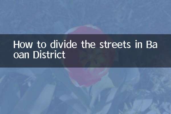 كيفية تقسيم الشوارع في منطقة باوان