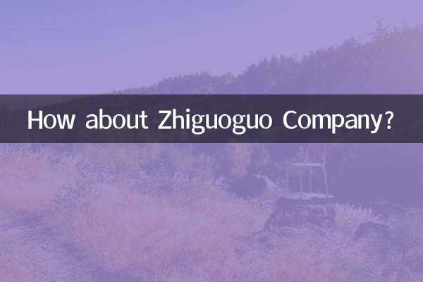 Que tal a Empresa Zhiguoguo?