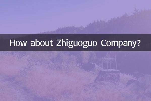 Que tal a Empresa Zhiguoguo?