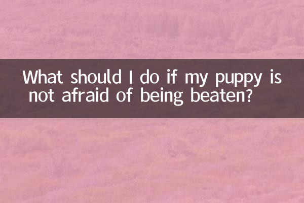 اگر میرے کتے کو مار پیٹ سے نہیں ڈرتا ہے تو مجھے کیا کرنا چاہئے؟