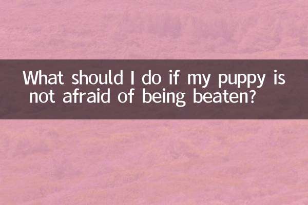 اگر میرے کتے کو مار پیٹ سے نہیں ڈرتا ہے تو مجھے کیا کرنا چاہئے؟