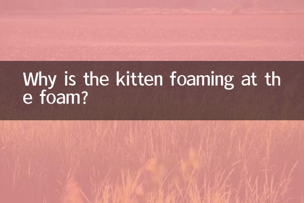 بلی کا بچہ جھاگ میں کیوں جھاگ رہا ہے؟