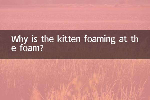 بلی کا بچہ جھاگ میں کیوں جھاگ رہا ہے؟