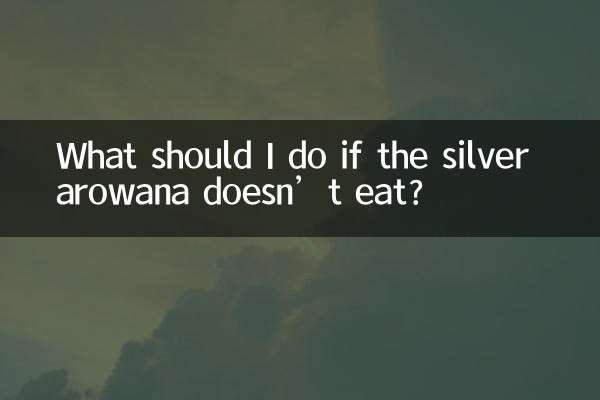 ¿Qué debo hacer si la arowana plateada no come?
