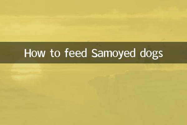 सामोयड कुत्तों को कैसे खिलाएं?