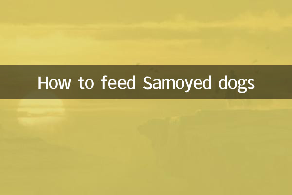 सामोयड कुत्तों को कैसे खिलाएं?