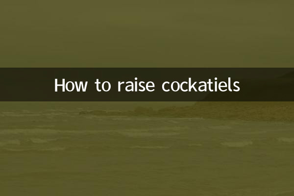 Como criar calopsitas