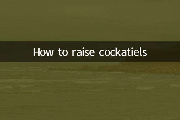 玄风鹦鹉怎么饲养