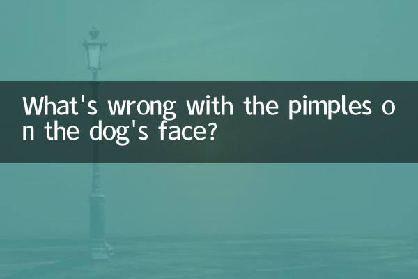 Что не так с прыщами на морде собаки?