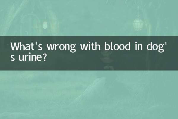 狗小便有血怎么回事