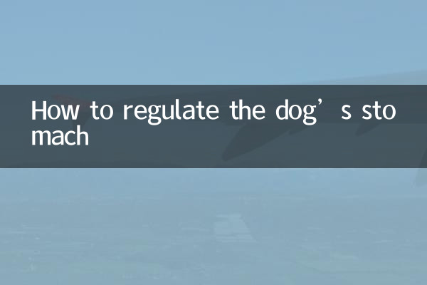 كيفية تنظيم معدة الكلب