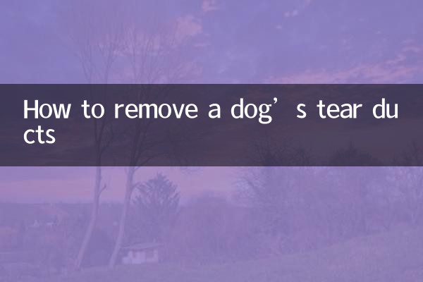 How to remove a dog’s tear ducts