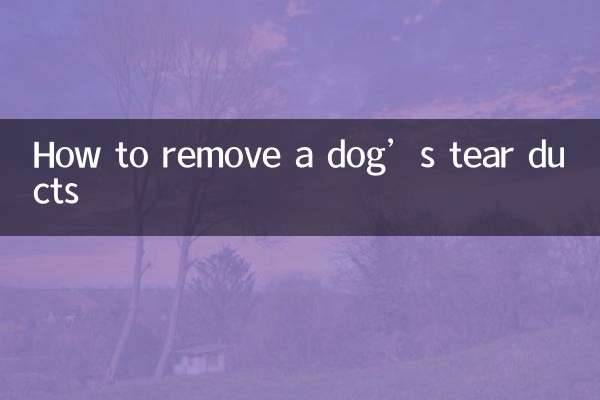 개의 눈물관을 제거하는 방법