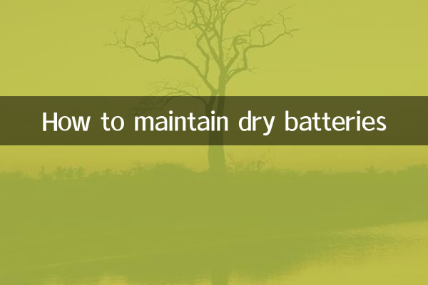 Cómo mantener las baterías secas