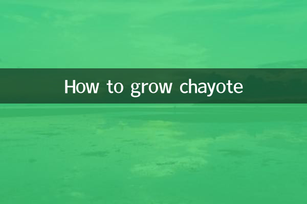 ছ্যাটোতে কিভাবে বাড়তে হয়