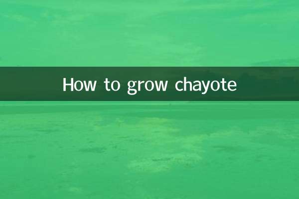 ছ্যাটোতে কিভাবে বাড়তে হয়