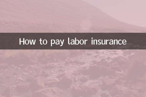 劳动保险怎么交