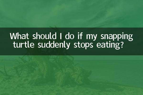 What should I do if my snapping turtle suddenly stops eating?