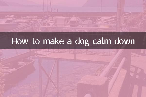 कुत्ते को कैसे शांत करें