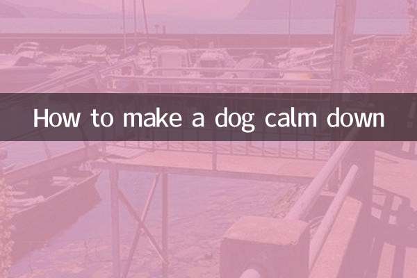 犬を落ち着かせる方法