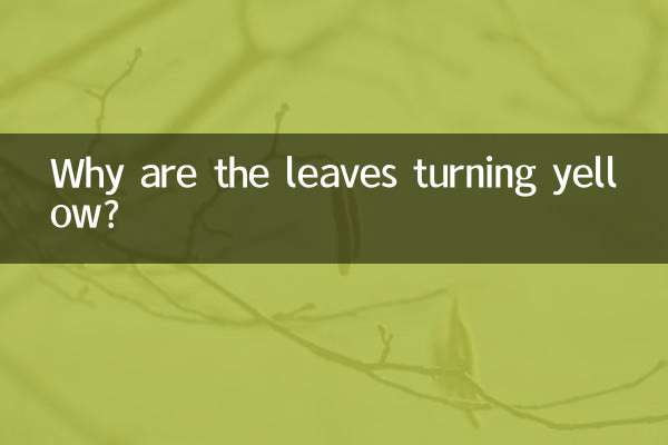 چرا برگها زرد می شوند؟