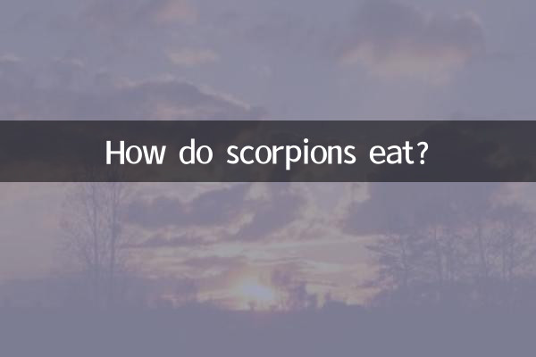 Comment mangent les scorpions ?